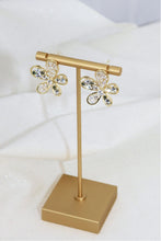 Load image into Gallery viewer, Flower Zirconia Stud Earrings